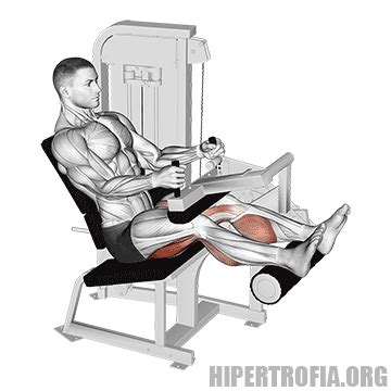 Mesa Flexora Substituir: 7 Melhores Exercícios para Posteriores